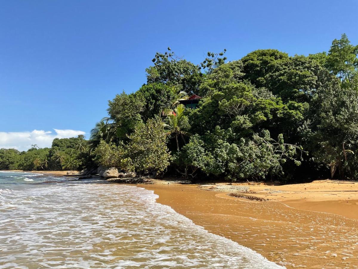 Tesoro Escondido Ecolodge Cabinas Bocas del Toro Eksteriør bilde