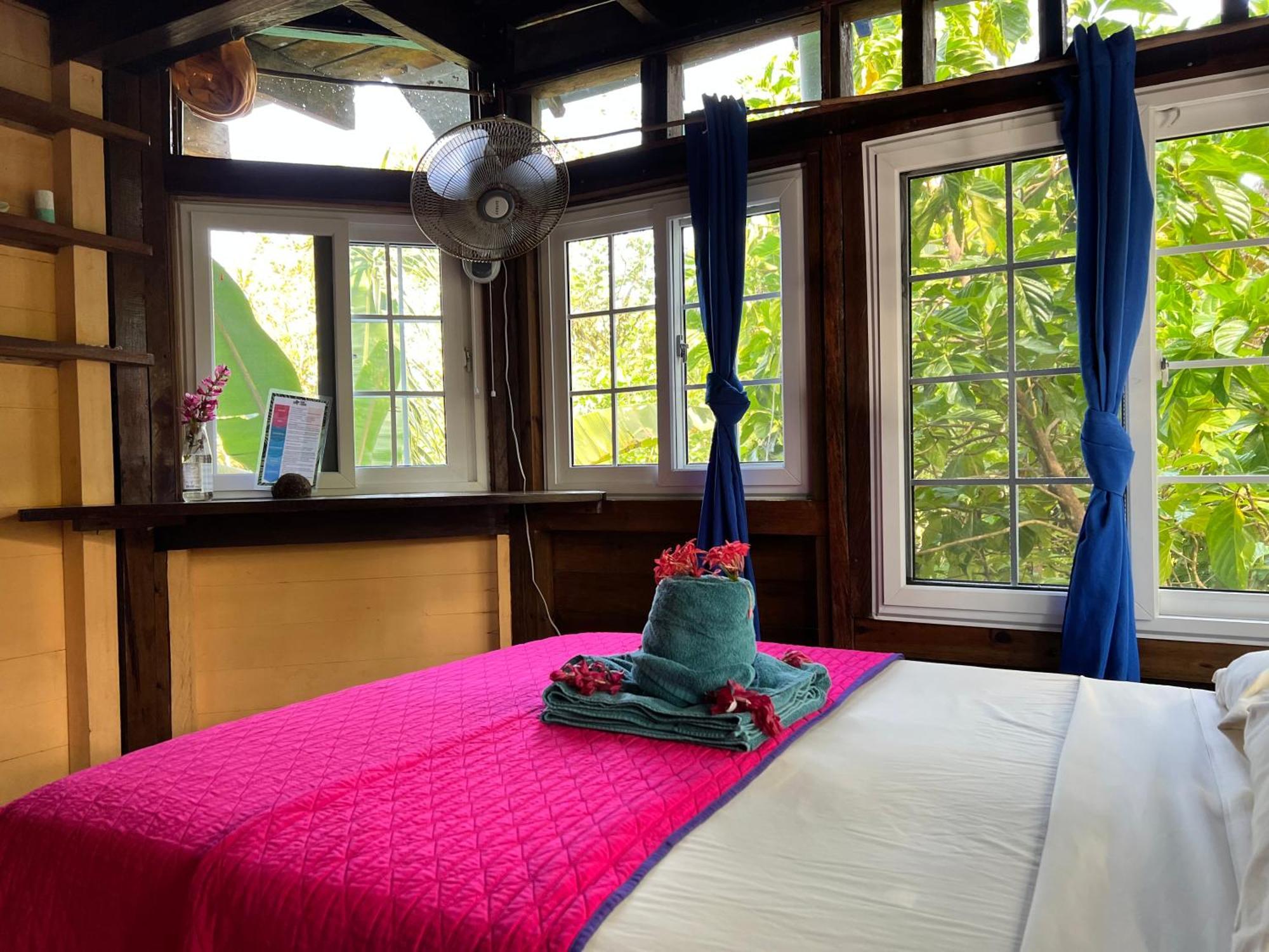 Tesoro Escondido Ecolodge Cabinas Bocas del Toro Rom bilde